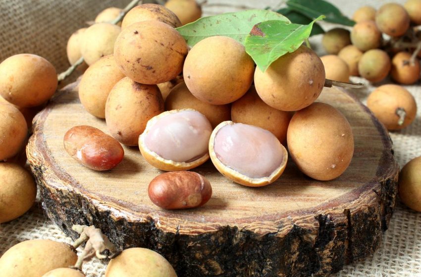 Pitomba: benefícios e a origem da fruta