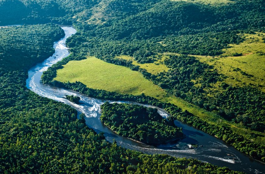  SOS Mata Atlântica e Fundação Toyota do Brasil abrem edital para projetos ambientais na Costa dos Corais