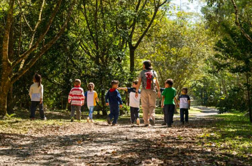  Ecofuturo integra manifesto em prol da relação entre natureza e saúde nas políticas públicas