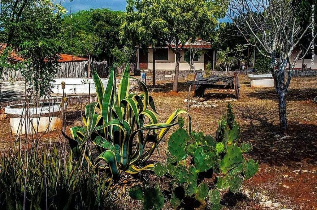 Lajedo de Pai Mateus, cariri paraibano - Foto: Sérgio Melo