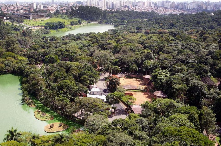 Vista aérea do Zoológico de São Paulo, local onde a Effect Arquitetura coordenou a elaboração um Master plan detalhado de futuras decisões que envolvem o crescimento urbano, cuidado com a diversidade e meio ambiente | Foto: Divulgação