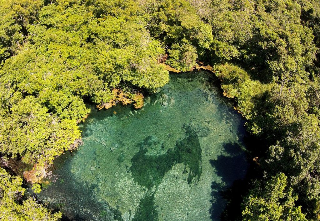 Novo fenômeno da turbidez das águas ameaça o modelo considerado um exemplo de harmonia entre atividade turística e conservação dos ecossistemas