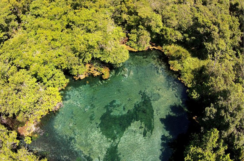 Novo fenômeno da turbidez das águas ameaça o modelo considerado um exemplo de harmonia entre atividade turística e conservação dos ecossistemas