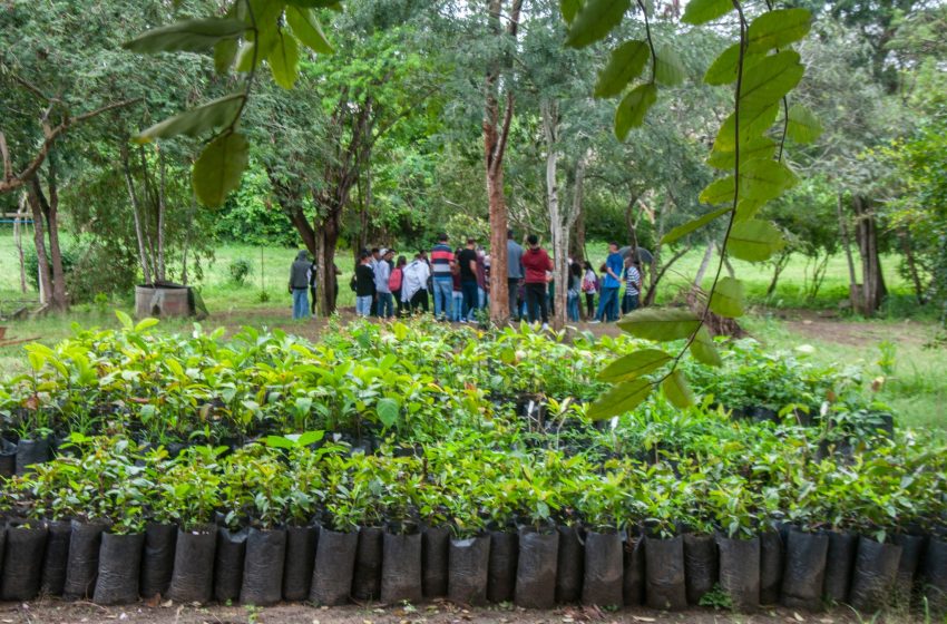  A importância do Jardim Botânico na conservação do bioma caatinga, através da educação ambiental