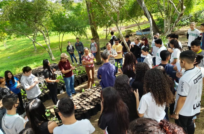  Na semana do Meio Ambiente, o Jardim Botânico da UEPB fala sobre preservação do Cumaru