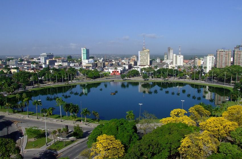  20 cidades brasileiras recebem título de ‘Cidade Árvore’ do mundo