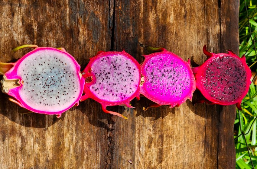  Com apoio da Embrapii e Sebrae, produtor rural cria geleia de pitaya para aumentar faturamento do negócio