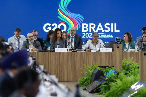 Representantes de 32 países e 18 organizações internacionais participaram de reunião em Brasília