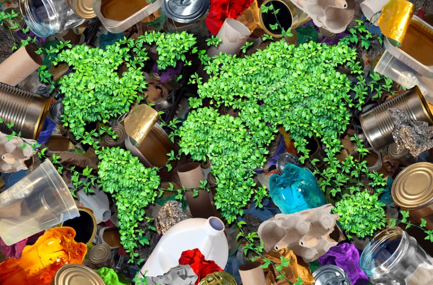 Conheça a história e a importância da reciclagem para a Paraíba e para o mundo