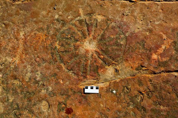 Cientistas encontram conjunto de vestígios único no mundo, revelando interação entre povos antigos e vestígios pré-históricos