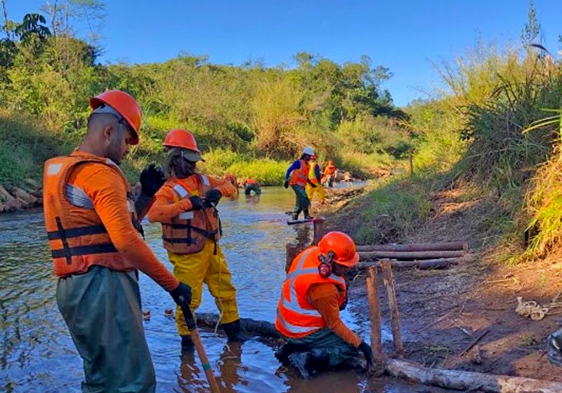 Técnicos do projeto ReNaturalize instalando troncos de árvores em trecho do rio Gualaxo do Norte, criando remansos que possibilitam a reprodução de peixes