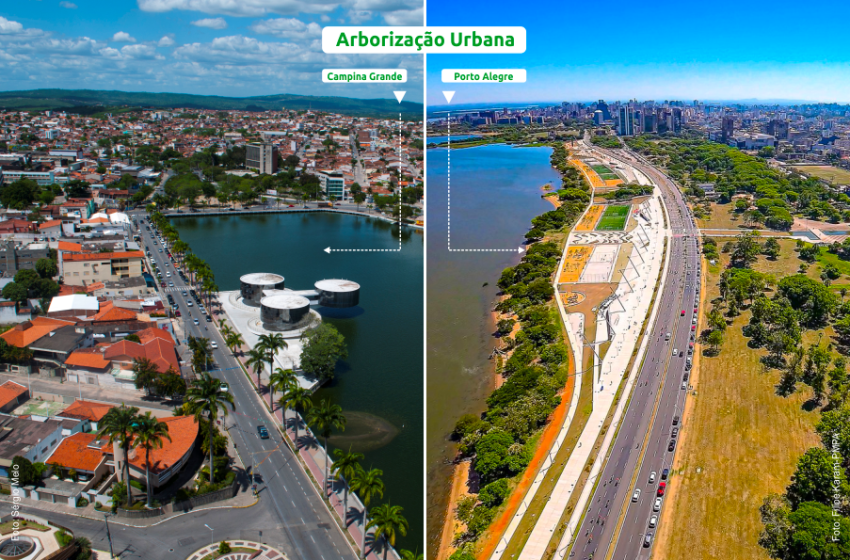 A comparação entre as duas cidades revela como o planejamento cuidadoso e os estudos ambientais fazem toda a diferença na arborização urbana, destacando os desafios enfrentados por Campina Grande e as lições a serem aprendidas com Porto Alegre.