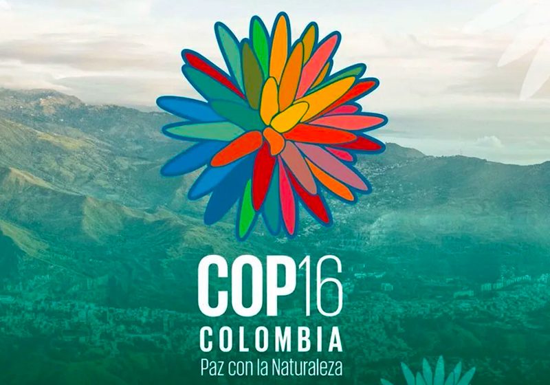  COP16 da Biodiversidade: Cinco Países Confirmam Apoio ao Fundo Florestas Tropicais para Sempre