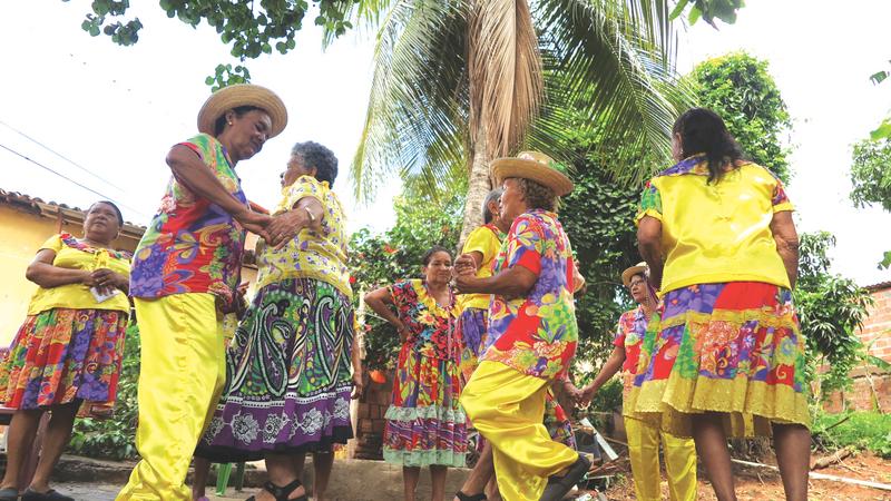  Reuniões estaduais mobilizam detentores dos Cocos do Nordeste