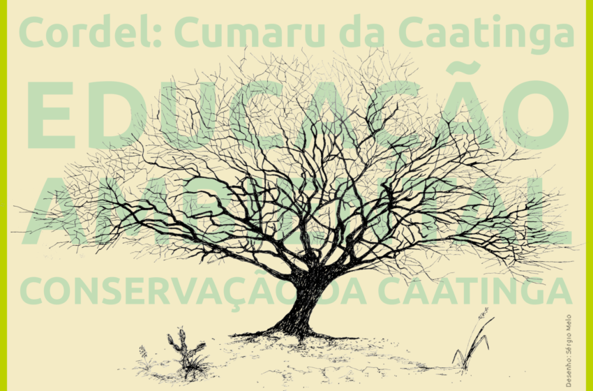  O cordel que celebra o Cumaru e a conservação da Caatinga