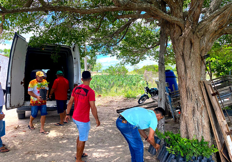  Projeto Cumaru finalizando atividades com resultados transformadores na caatinga paraibana