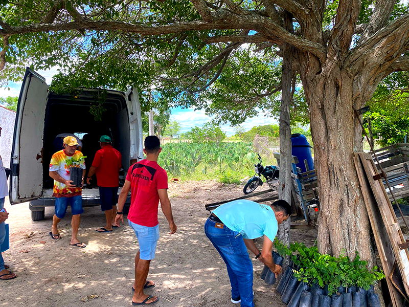 Projeto Cumaru finalizando atividades com resultados transformadores na caatinga paraibana