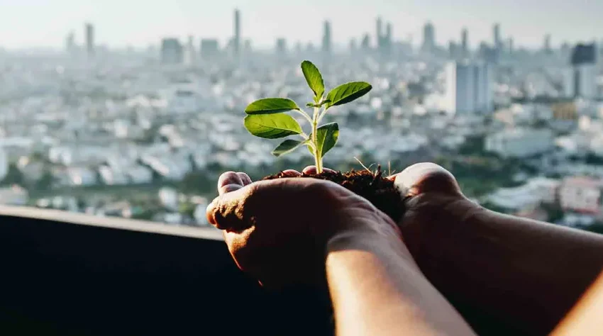 Desafios gerados pela crise climática global trazem consequências locais que podem ser mitigadas por meio da implementação de políticas e projetos sustentáveis