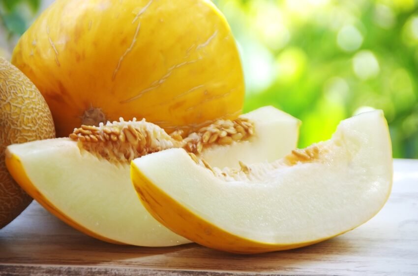 O poder do melão: sabor, saúde e frescor em uma só fruta