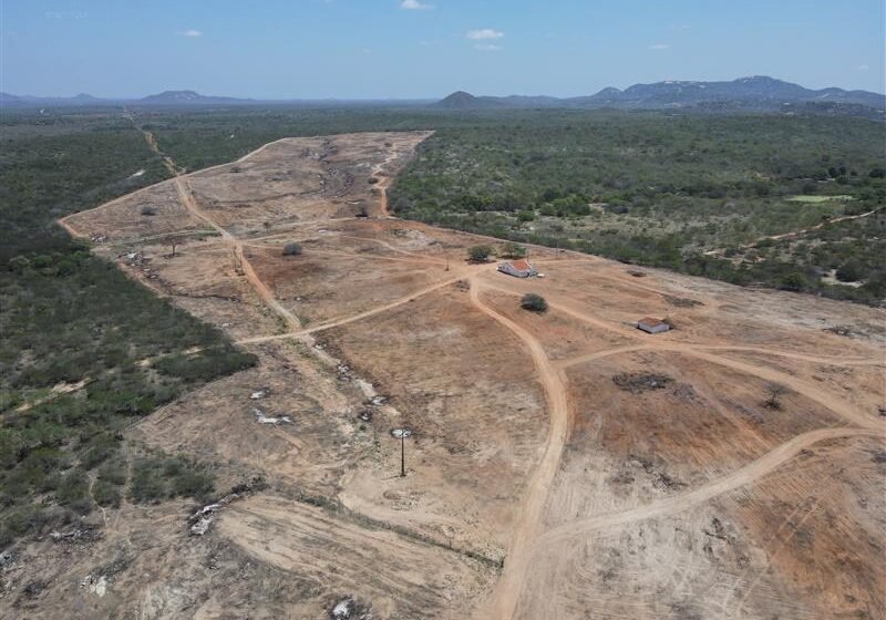Ibama identifica destruição da Caatinga por empreendimento irregular em Serra Branca (PB)