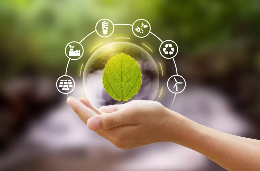 IV Fórum de Sustentabilidade discute metas da COP30 e modelo ESG no Brasil