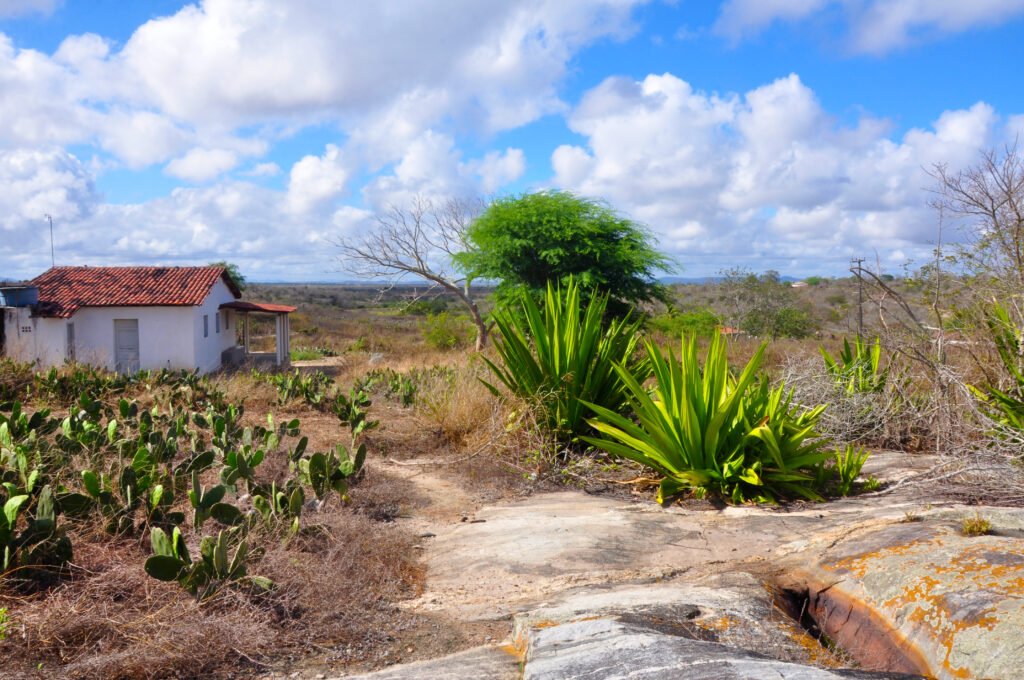 Pagamento por Serviços Ambientais: uma ferramenta essencial para a Paraíba fortalecer sua conservação ambiental