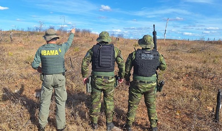  A urgência de proteger a Caatinga: reflexões sobre a Operação Mandacaru do Ibama