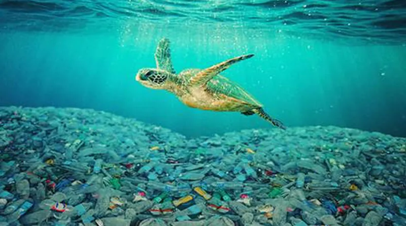 Cátedra UNESCO lança Manifesto pelo Futuro do Oceano como mobilização rumo à COP30