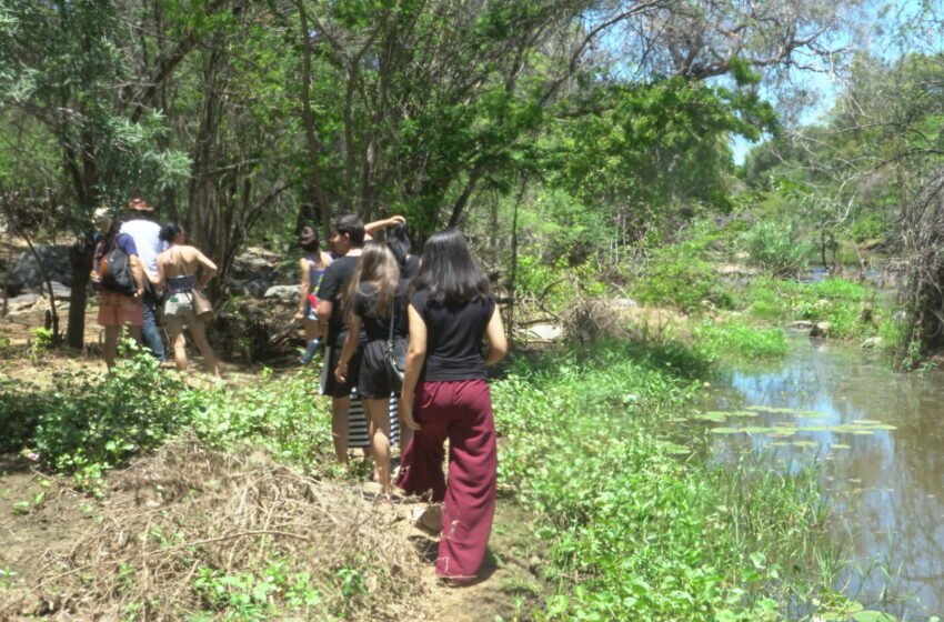  Cariri começa o ano fortalecido como destino de turismo sustentável e economia criativa