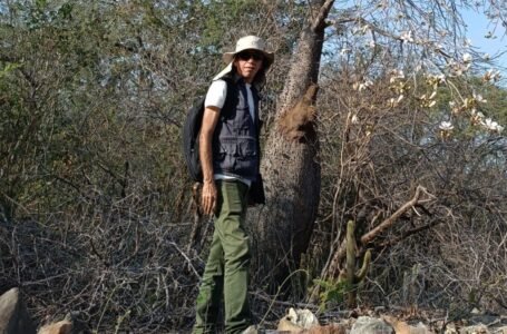 Nem sempre vale a pena: por que decidi não transformar o Paraíba Cultural em Ponto de Cultura