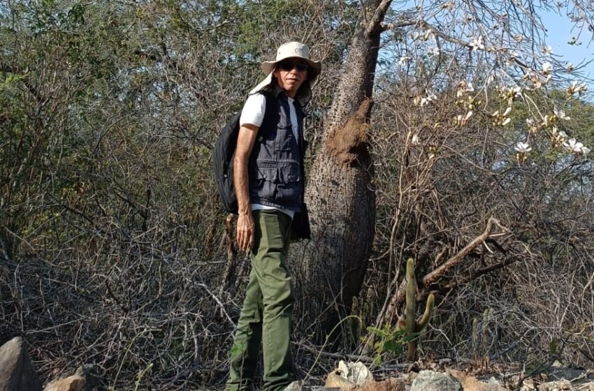  Nem sempre vale a pena: por que decidi não transformar o Paraíba Cultural em Ponto de Cultura