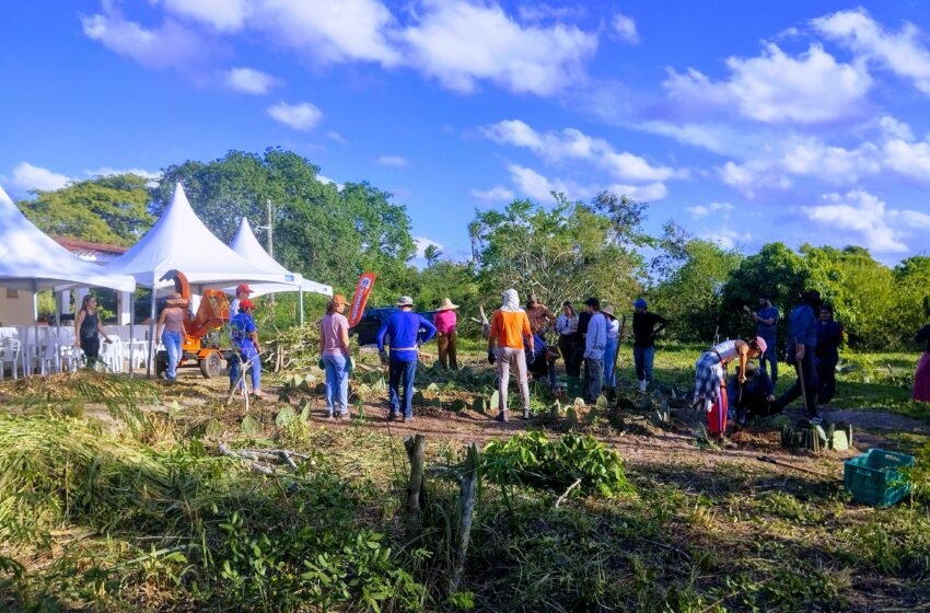  1º Curso de Agrofloresta no Sítio Flor da Mata, em Puxinanã, com Antônio Gomides, transforma conhecimento em prática no campo