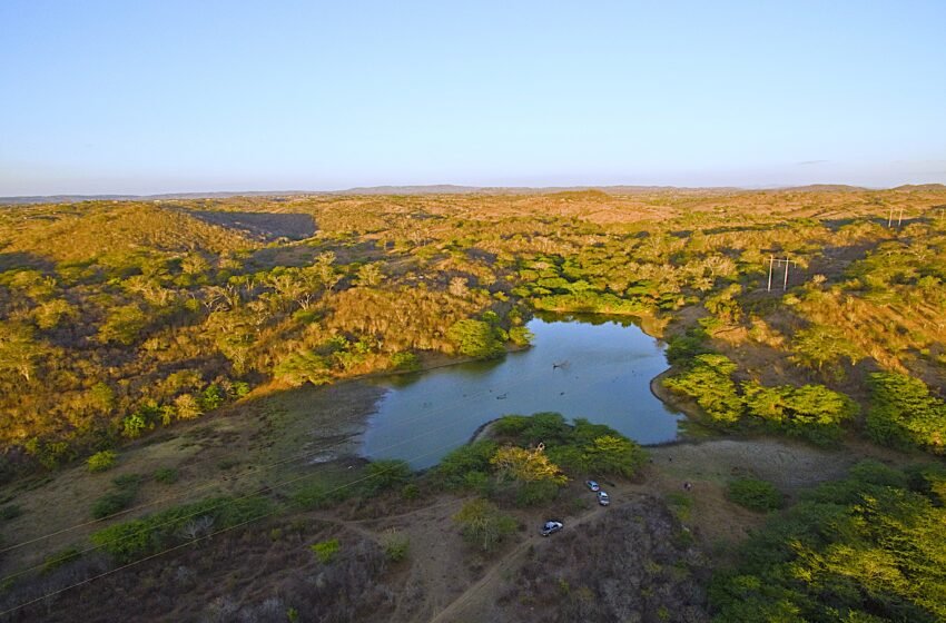  O segredo por trás do Açude Velho: como o Riacho das Piabas fundou Campina Grande e hoje pede socorro
