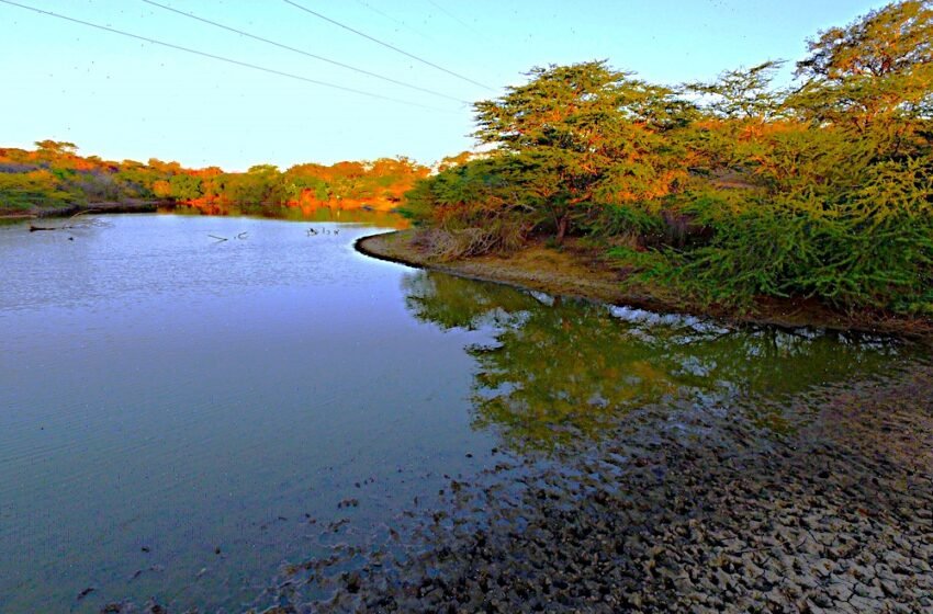  O plano de Teodósio de Oliveira Ledo que transformou o Riacho das Piabas no berço de Campina Grande