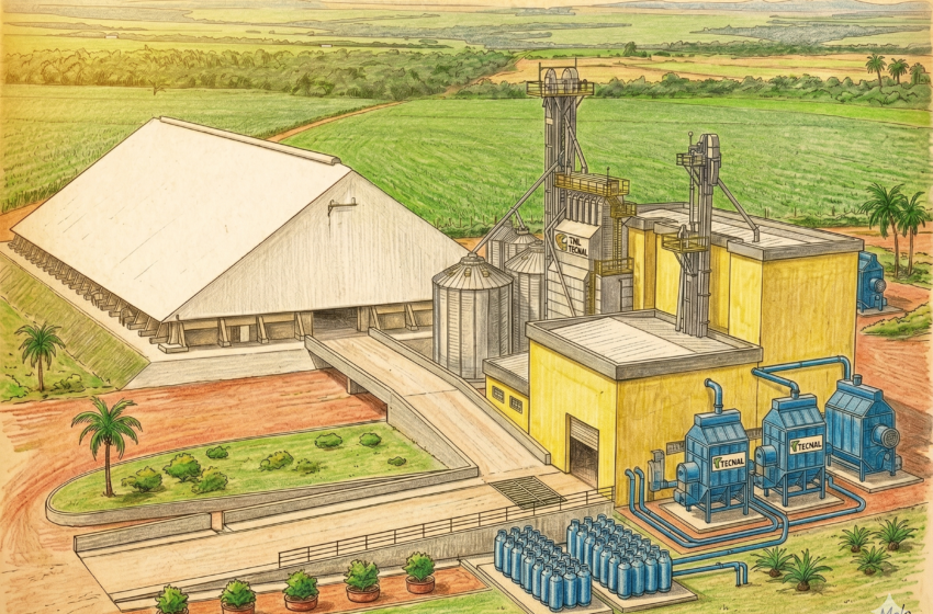  Mimoso do Oeste: A escala do mundo e a chama da inovação