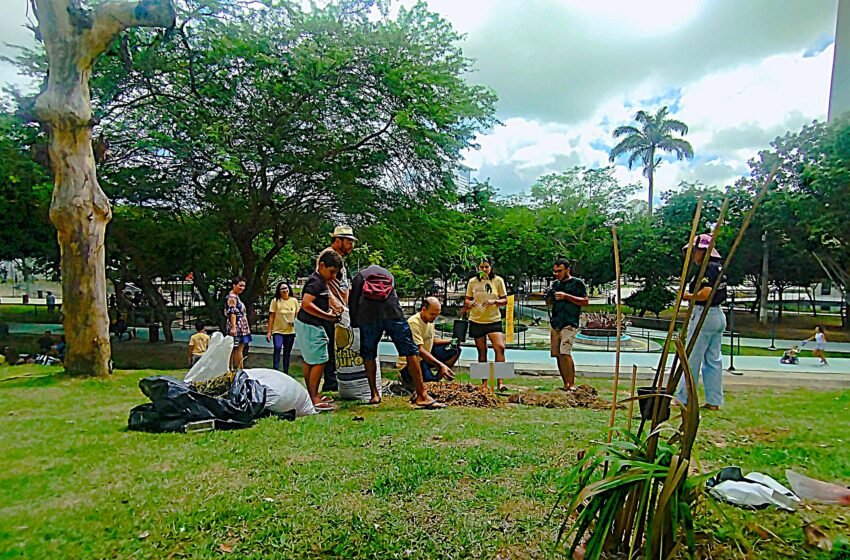  Como a Escola Jardins dos Baobás e a prefeitura transformaram o “Açude Novo” em uma sala de aula viva