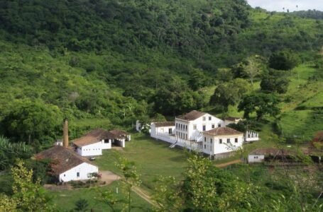 O que esperar dos 20 anos da Rota Cultural Caminhos do Frio em 2026