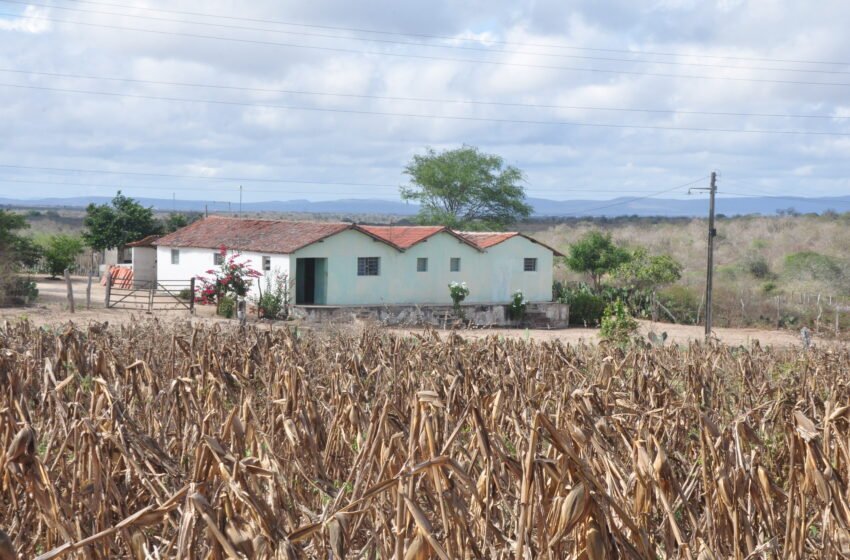  Por que os saberes tradicionais do Sertão são a nossa maior tecnologia contra a seca